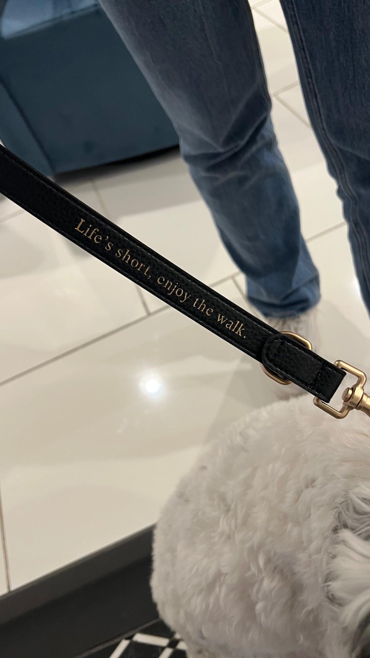 Jaxon & Paw Leash | Classic Black