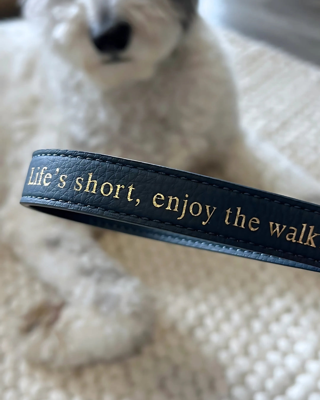Jaxon & Paw Leash | Classic Navy