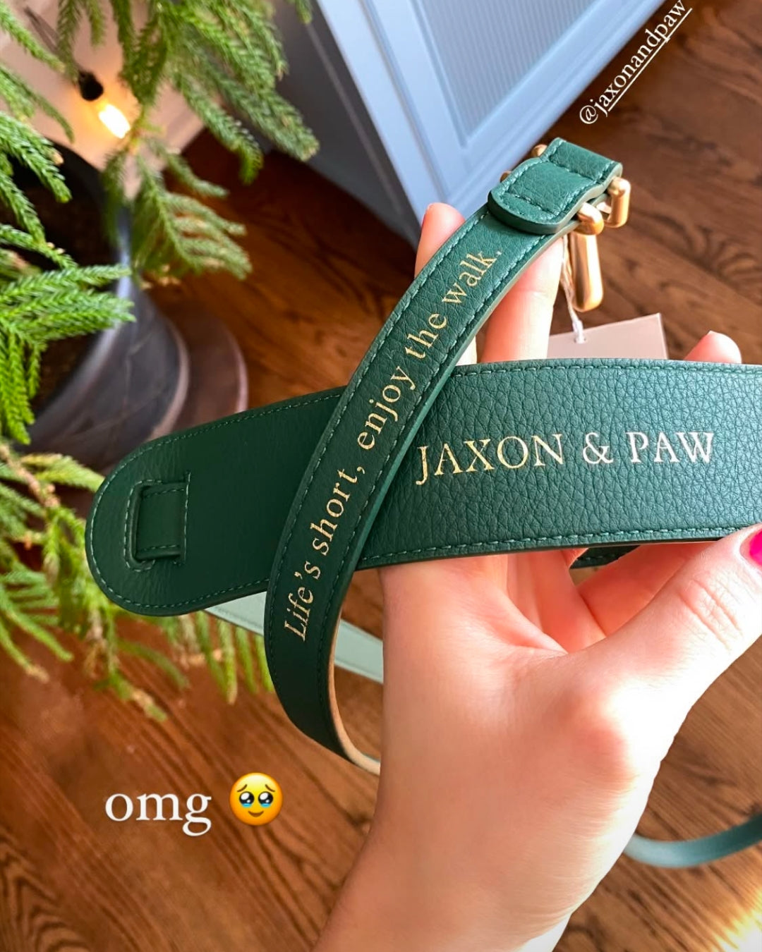 Jaxon & Paw Leash | Classic Green
