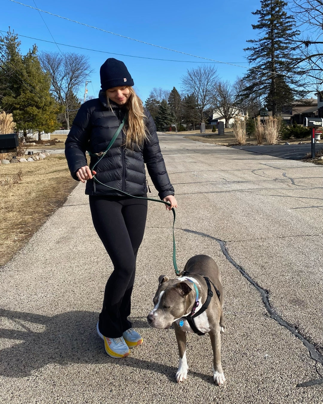 Jaxon & Paw Leash | Classic Green