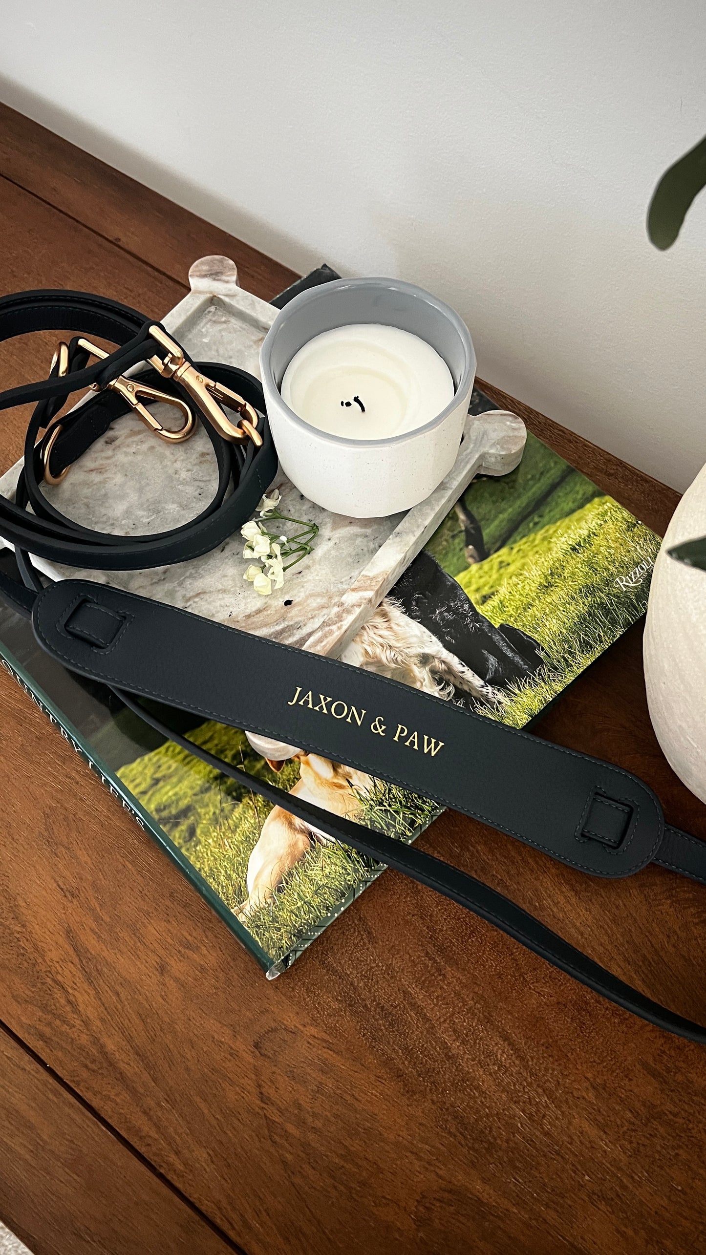 The Eclipse Leash