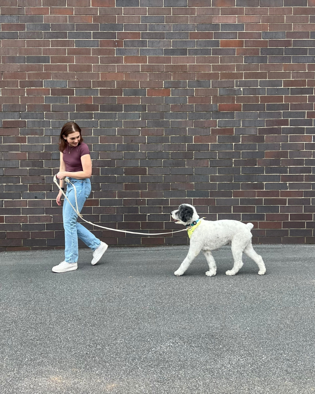 Jaxon & Paw Leash | Classic Beige